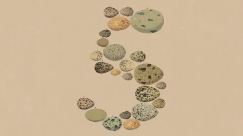 Anthropic Releases New Claude Model, Positions It as a Cost-Efficient Version of Fable 5