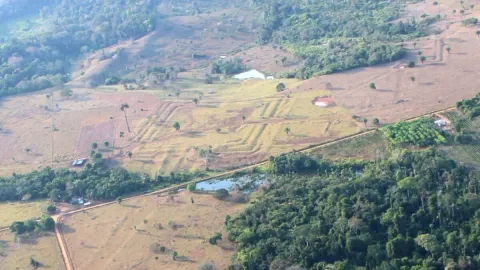 Scientists Find Evidence of Lost Amazonian Civilization That May Have Been Home to Millions