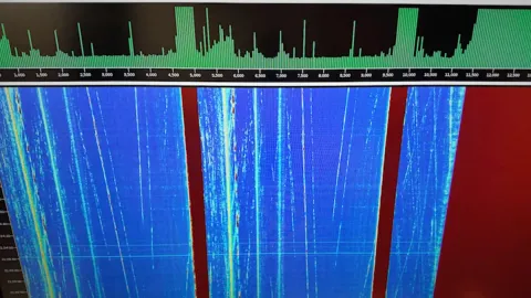 The Government’s Earthquake Warning System Has a 30% Accuracy Rate. Scientists Found Something Better