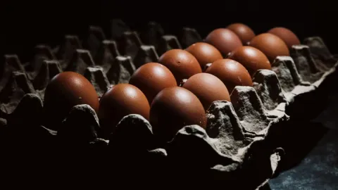 Egg-Linked Salmonella Outbreak Has Sickened 98 People, With Many Cases Still Unexplained