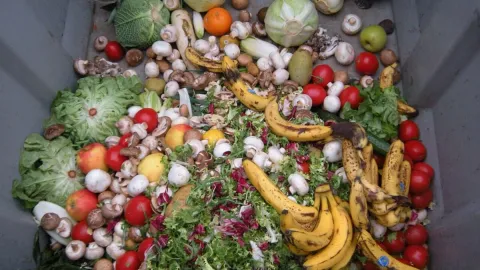 The Fix for Food Waste Comes With a Major Catch
