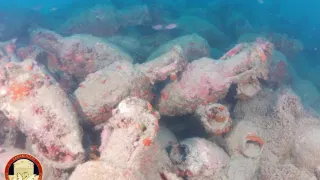 Free Divers Thought They Found a Pile of Rocks. It Was a 2,100-Year-Old Roman Shipwreck
