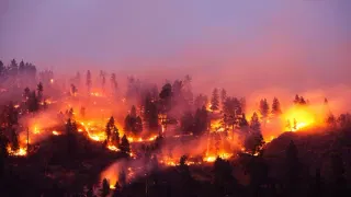 Global Warming Has Kicked Into Overdrive, Scientists Warn