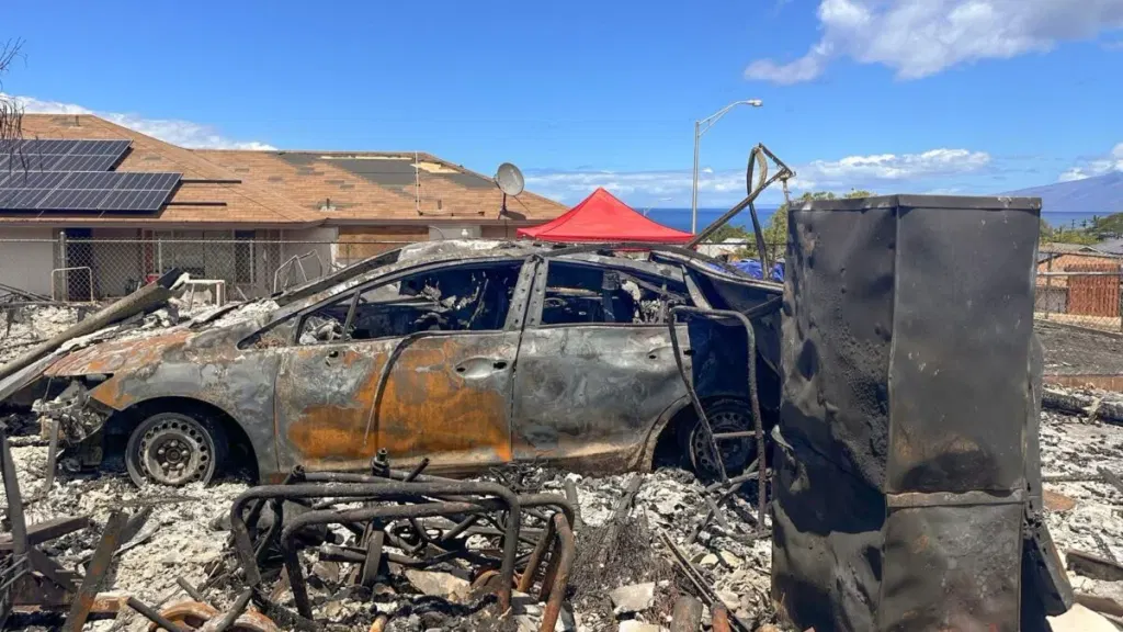 Scientists Find Threat of Toxic Metal Exposure Lingers Long After a Wildfire Goes Out