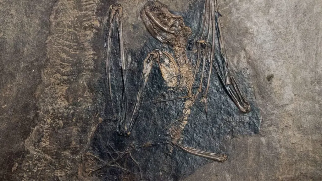 We Finally Know Where Bats Came From—and Dracula Would Approve
