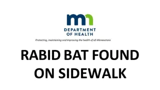 Minnesota Woman Picked Rabid Bat Off Sidewalk. Now Health Officials Are Desperate to Find Her