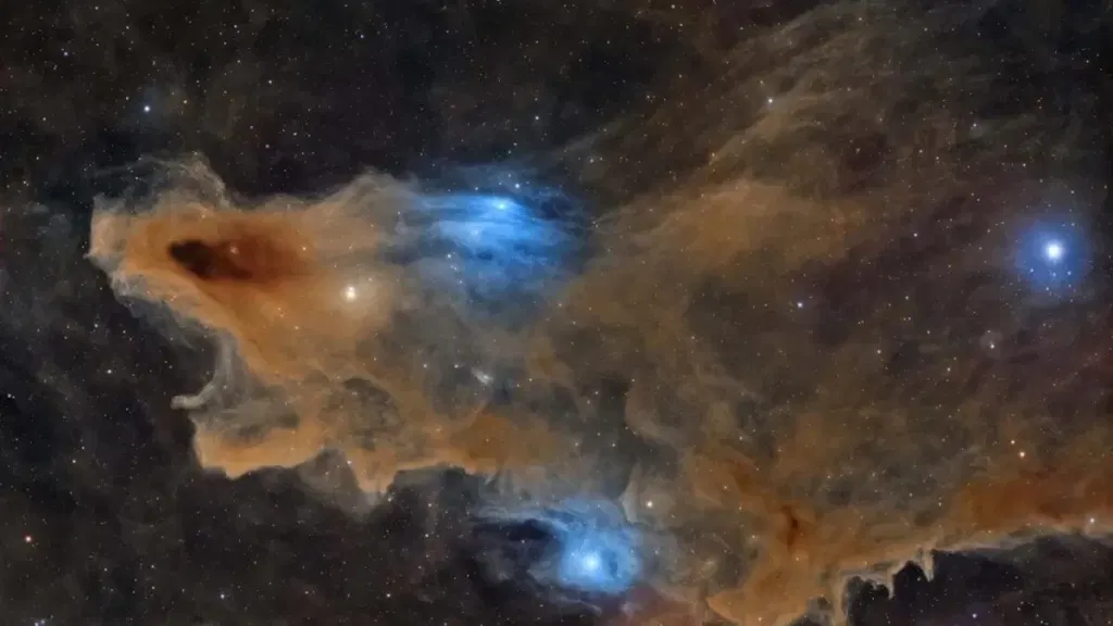 A Deep-Space Shark Is Prowling the Cosmos—and the Photo Just Won a Major Award