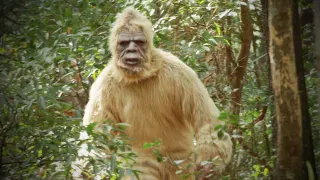 Sentient AI’s Bigfoot Era Could Arrive at Any Moment