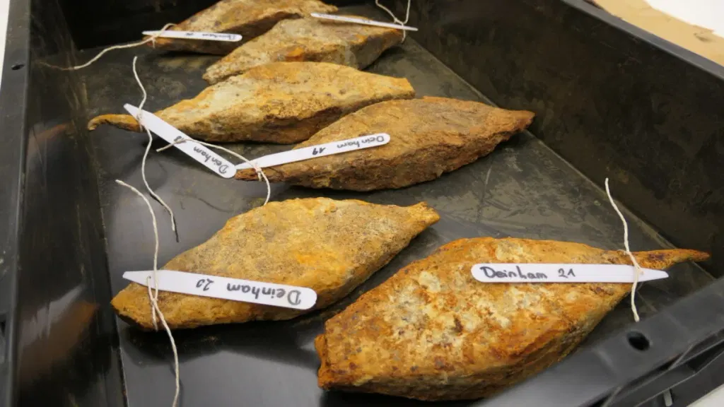 A Massive, 2,000-Year-Old Iron Haul Could Rewrite What We Know About Ancient Trade