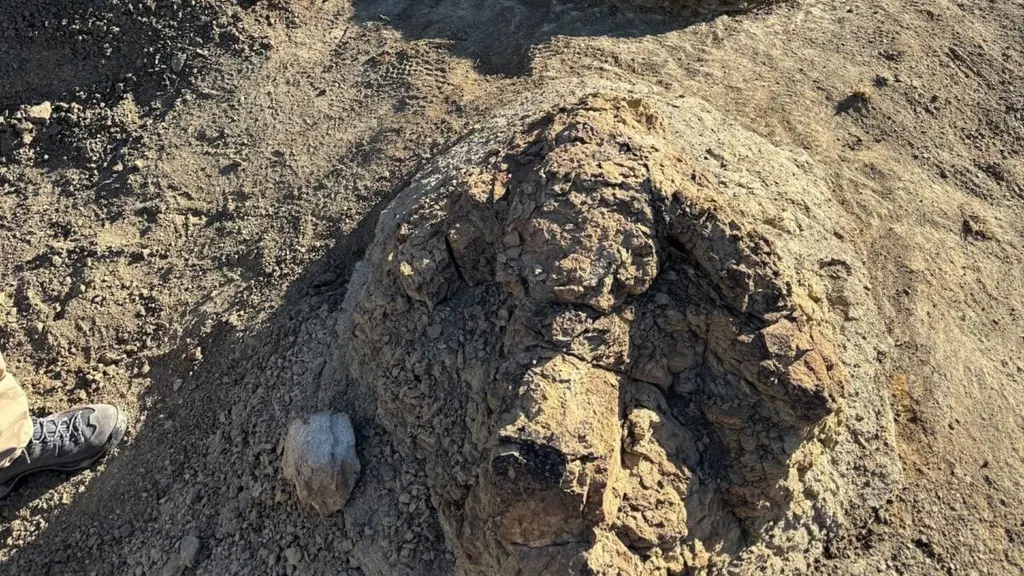 Massive Footprints Found in North Dakota Reveal How T. Rex Walked
