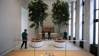 Maybe the ‘Genius Grove’ Wasn’t the Best Idea. Dedicated Apple Genius Bar Reportedly Coming Back