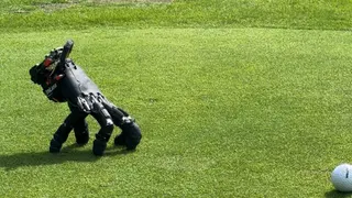 Thing 2.0? This Creepy-Cute Robot Walks on Its Fingers