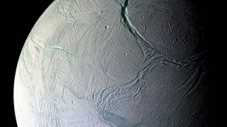 Scientists Find Microbial Life Could Survive on Saturn’s Icy Moon Enceladus