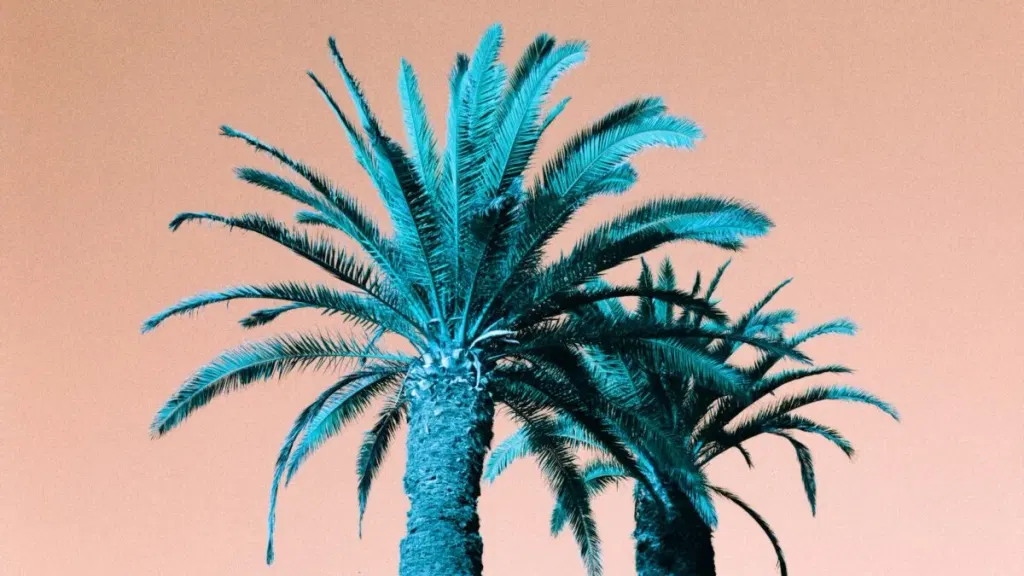 The City With the Best Weather in the U.S. Isn’t Built for This Heat