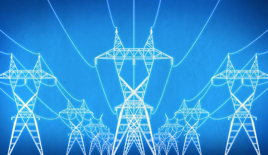 Fixing a Power Grid That Loses Over Half Its Power to Inefficiency and Theft