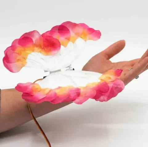 Biofeedback Butterfly Beats With a Pulse