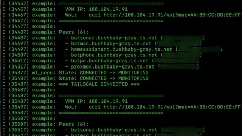 Running a VPN Gateway on an ESP32