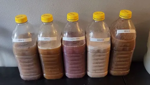 Turning Fruits Into Ethylene and Ethane Refrigerant