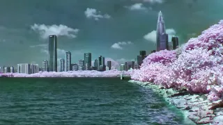 Taking Tri-Camera True-Color Infrared Videos