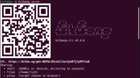 Get a Remote Terminal With One Binary, One URL, and Zero Config