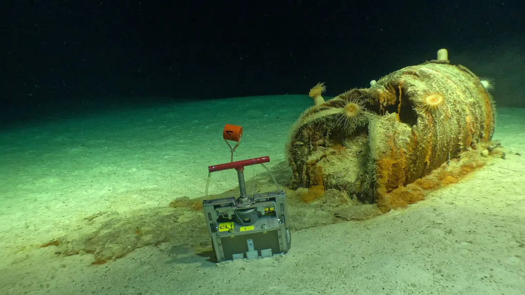 The Low-Level Waste Dumps in The Atlantic Have Become Ecosystems