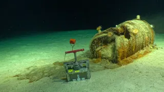 The Low-Level Waste Dumps in The Atlantic Have Become Ecosystems