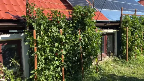 Gardening With…OpenSCAD?
