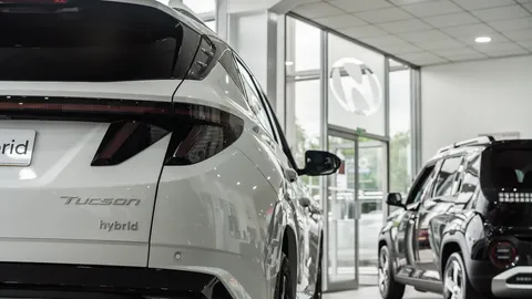 Hyundai is recalling 421,000 cars over collision‑avoidance software bug