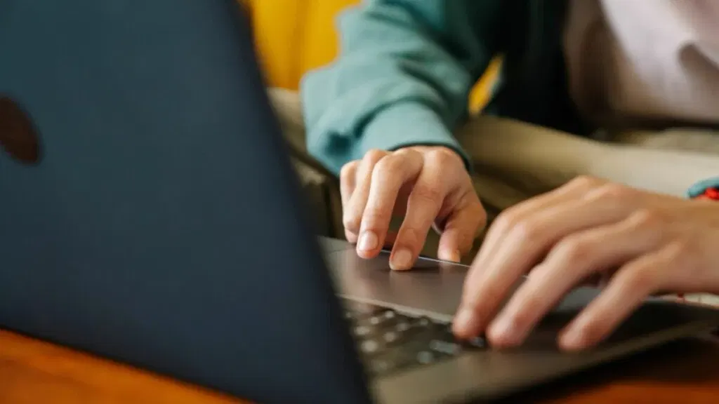 Start coding from scratch with 15 courses and Microsoft Visual Studio for just $35