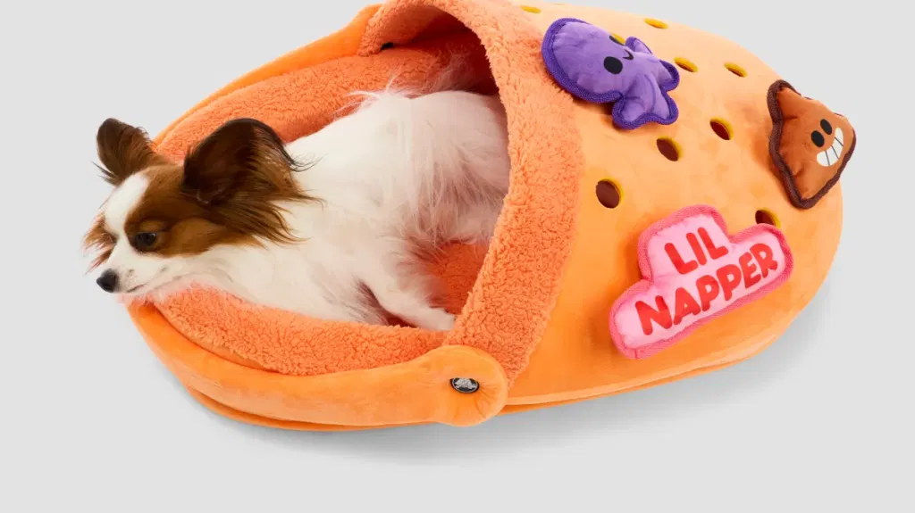 Bark and Crocs just launched plush socks and sandals dog toys and matching leashes — where to buy yours