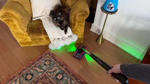 The Dyson PencilVac Fluffycones weighs nothing and fits everywhere. Dont get me started on the double lasers.