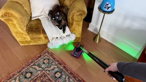 The best Dyson vacuums actually make vacuuming fun: See my favorites for 2026