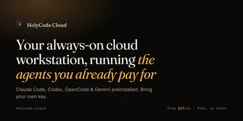 Show HN: HolyCode Cloud – persistent Linux workstations for AI