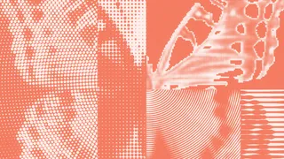 AI and democracy: the right to resist optimization