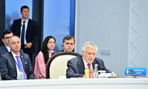 Peace, stability only possible by eliminating terrorism emanating from Afghanistan, Dar says at SCO meeting