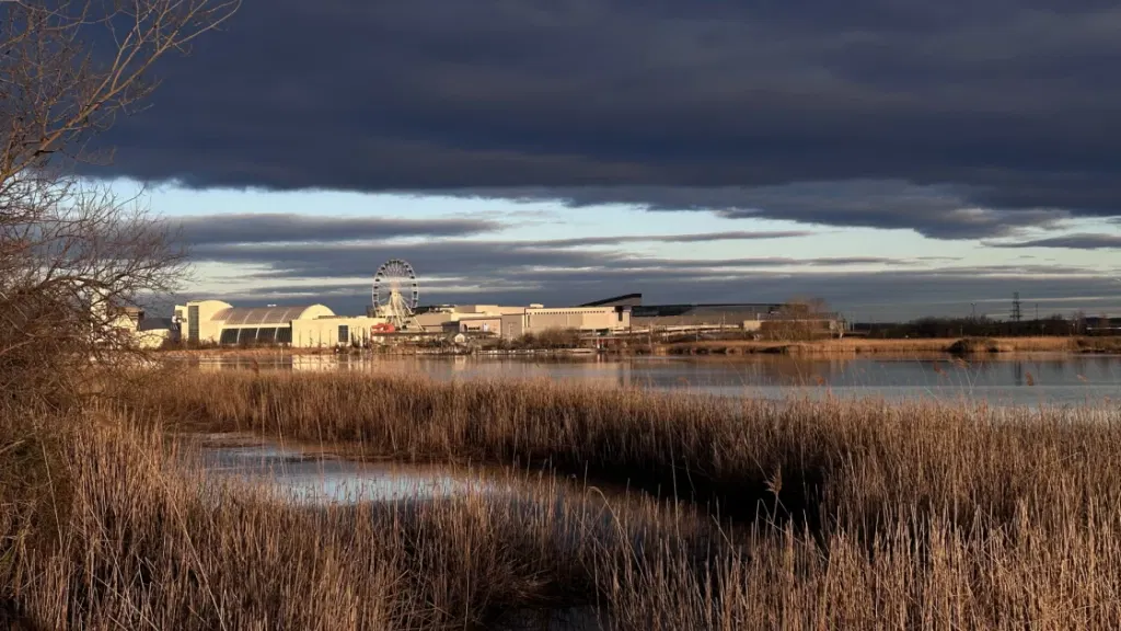 Data Center Spills Thousands of Gallons of Diesel Into NJ Creek After Computer Glitch