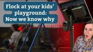 Flock cameras used to arrest a child for playing on a swing