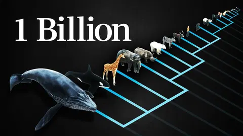 Why does every mammal get 1B heartbeats in their life? [video]