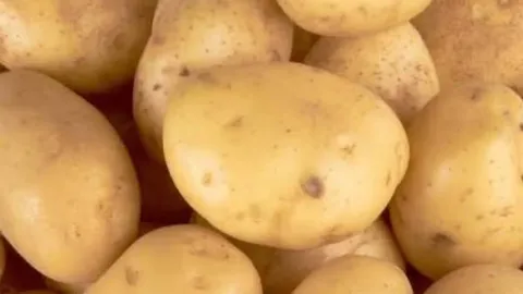 Tesco confirms how to stop potatoes sprouting after taking them home