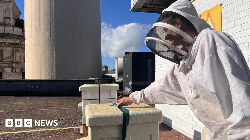 Bees create a buzz at Liverpool shopping centre