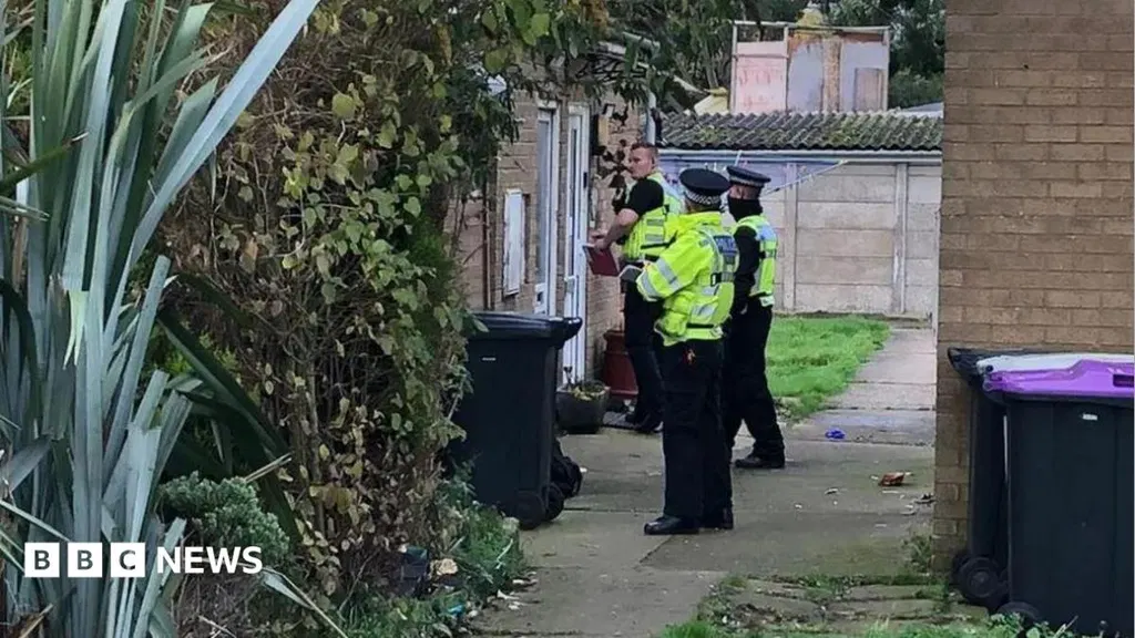 Woman detained indefinitely for stabbing two boys