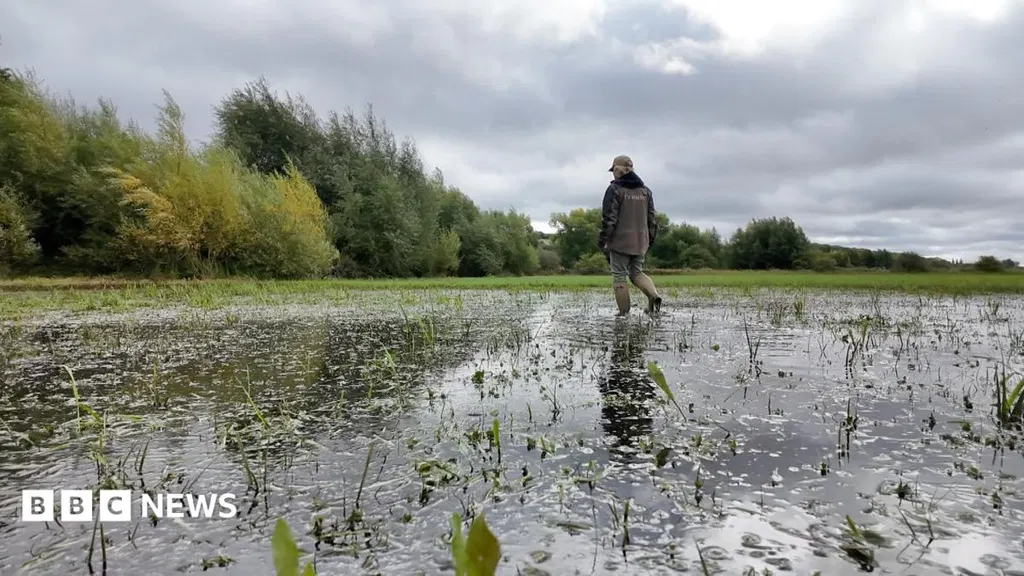 Burst pipe floods wildlife meadow for fourth time