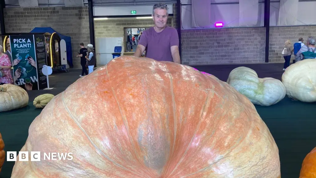 Giant veg records smashed despite 'bonkers' summer