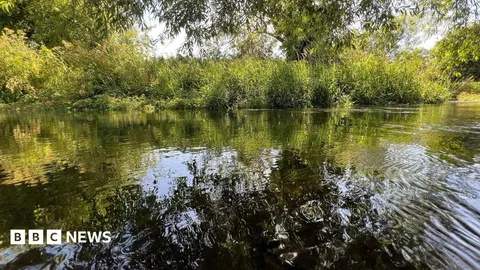 Thames Water 'flagship' chalk stream rated as poor