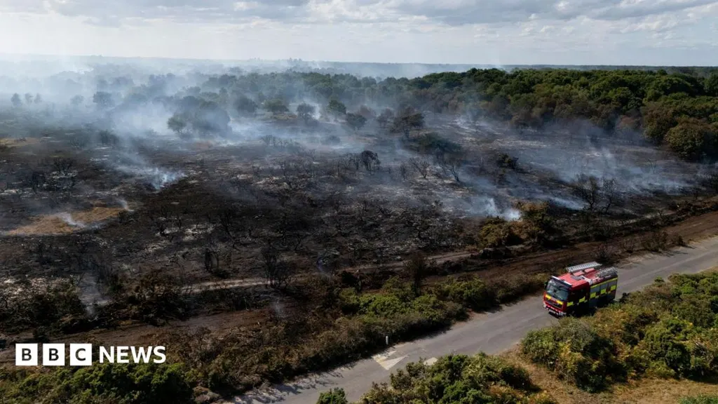 Lives 'will be lost' unless UK does more to combat wildfires, committee chair says