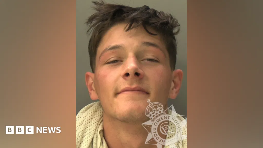 Driver, 20, jailed after dashcam filmed 'horrific' head-on crash which left victim with PTSD