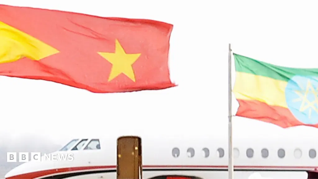 Tigray forces seize main airport in northern Ethiopia from police, residents tell the BBC
