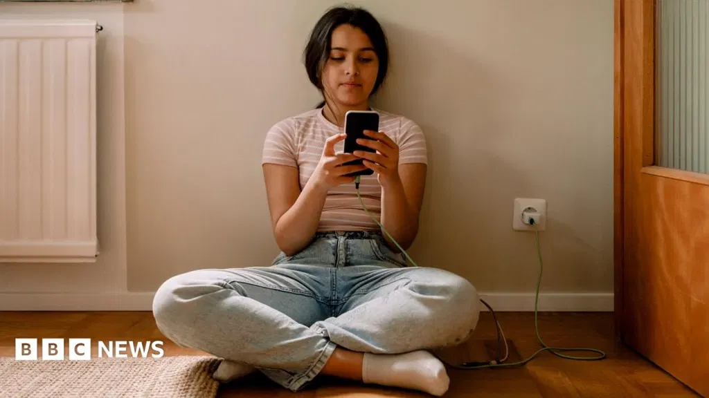 EU announces plan to restrict social media access for children