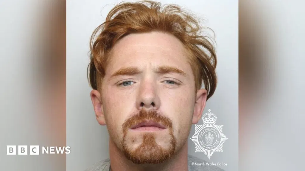 Driver jailed after killing 'devoted' mum while fleeing police
