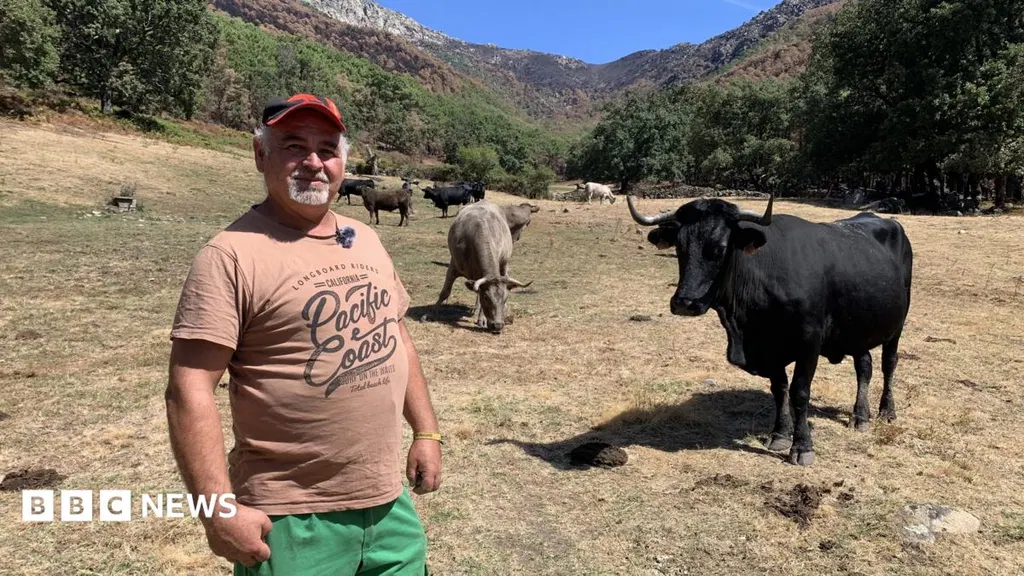 Spain battles climate change on several fronts